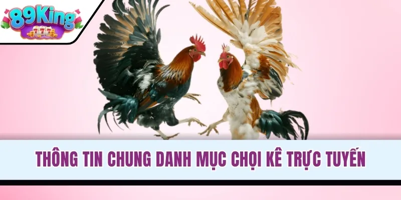 Thông tin chung danh mục chọi kê trực tuyến